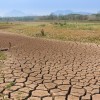 如果政策保持不变 地球可能出现多个重大气候临界点