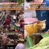 天降猫咪掉进重庆露天火锅 热汤烫伤9人 顾客和猫都已送医