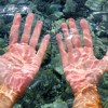 研究发现人体手指皮肤浸水后产生的皱纹存在图案的重复性