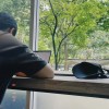 研究发现长时间工作的人的大脑结构会发生变化