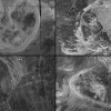金星“心跳”未停？NASA发现强烈地质活动迹象
