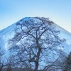 NASA解释为什么观察火山附近的树木是最好的喷发预警方式