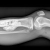 犬抗癌药物获批用于治疗儿童