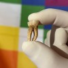 古DNA揭秘：麻风病早在欧洲人抵达前就已肆虐美洲