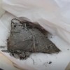 900年前的粽子长啥样？专家揭秘：是肉粽