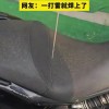 喜鹊用焊条搭窝把树下的车子坑惨了 鸟类搭窝材料还能多奇葩？
