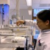 丹麦研究小组破解了紫杉醇的完整生物合成技术 生产成本更低更环保