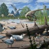 最新研究展示了已知最早的鸟类在极地筑巢的证据