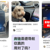 多位奔驰车主爆料：一觉醒来车机崩了 导航、音乐全不能用