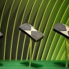 NVIDIA旗舰RTX 5090开始降价 但离原价还是远