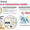 神秘古菌惊现病毒特征 科学家发现“半病毒”生命形式