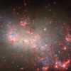 韦伯和哈勃揭示微小矮星系NGC 4449中的