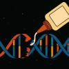 抗衰老“胶水”可自然修复受损DNA 保护脑细胞