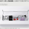 用人脑细胞跑AI，我快搞不懂这个世界了……