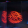 科学家成功为人工器官3D打印血管网络：计划5年内在猪身上3D打印器官