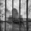 希腊男子因十年前运营私人BT种子网站被判入狱