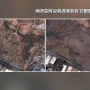 美方初期情报评估显示并未“彻底摧毁”伊朗核设施