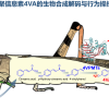 中科院破解蝗虫“交流暗号” 引诱聚集起来一网打尽