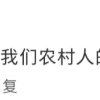 美团优选转型，乡镇人集体破防