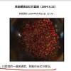 福寿螺到底能不能吃？这种入侵物种曾经一只母螺能卖到800元