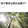 有人抓“知了猴”一晚能赚几百元 蝉这么值钱怎么没多少人去养殖呢？