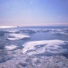 研究发现30年前的气候预测惊人地准确