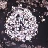 陨石中发现的古老液滴揭示了行星形成的历史
