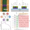 加州大学洛杉矶分校工程师研制出可以在室温下运行的量子计算机