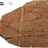 研究人员发现失传3000年的巴比伦赞美诗