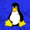 Linux终于获得关键功能CAS Windows 10/11中早已存在数年